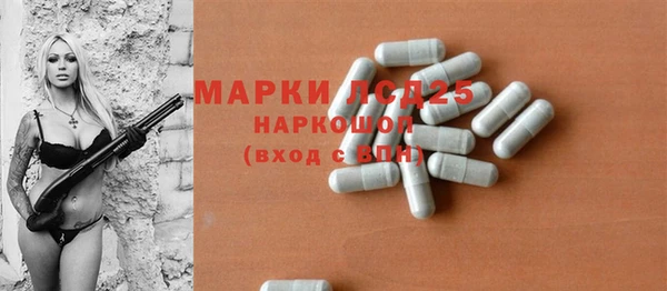 прущие грибы Михайлов