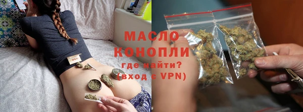 прущие грибы Михайлов