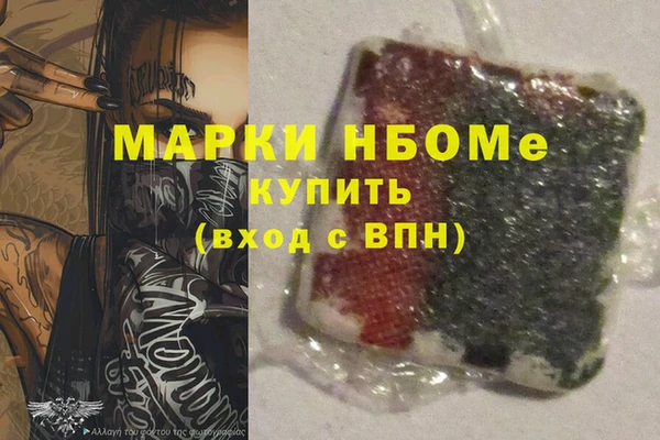 прущие грибы Михайлов
