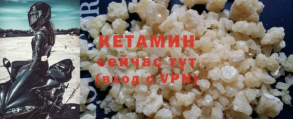 прущие грибы Михайлов