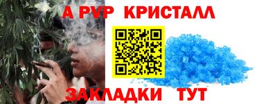 спиды Гай