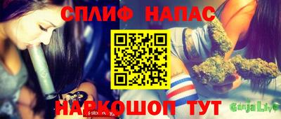 спиды Гай