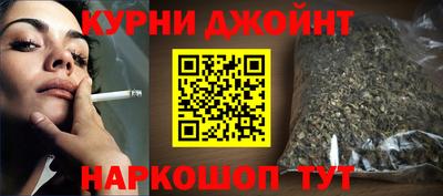 спиды Гай