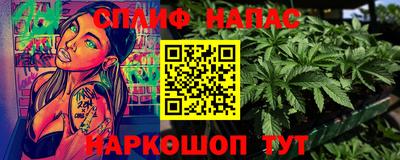 спиды Гай