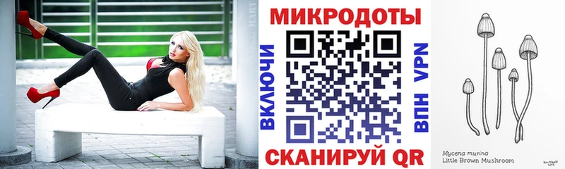 Псилоцибиновые грибы Cubensis  закладка  Можга 