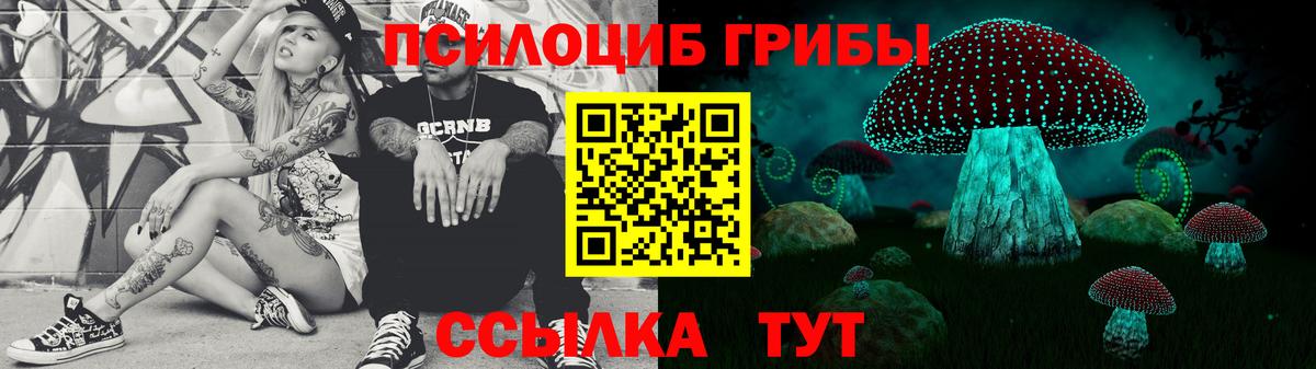 Псилоцибиновые грибы MAGIC MUSHROOMS Можга
