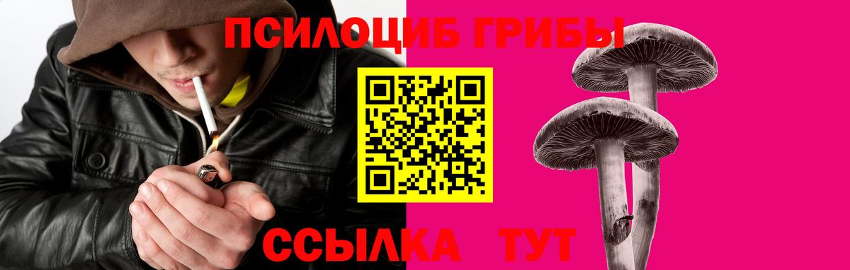 Псилоцибиновые грибы Psilocybine cubensis Можга